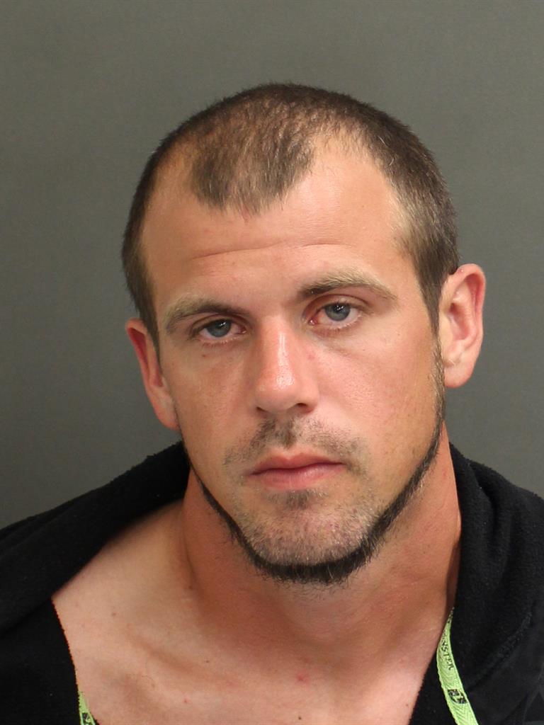  RYAN MICHAEL LOWE Mugshot / County Arrests / Orange County Arrests