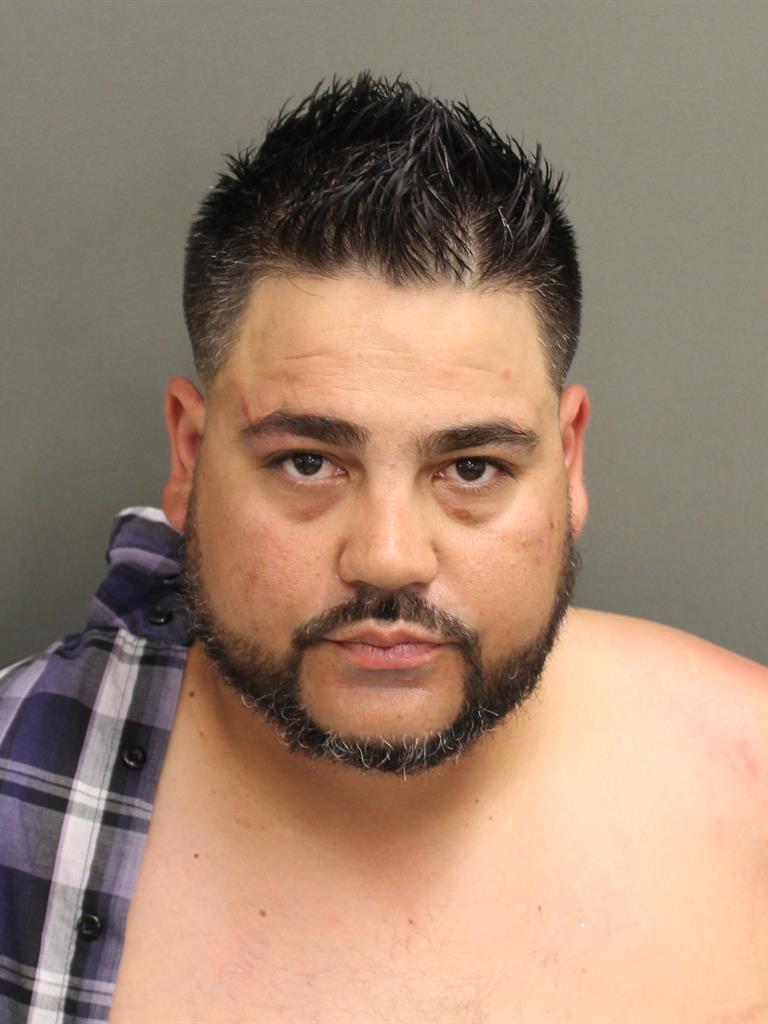  MICHAEL JOSEPH ARGERENON Mugshot / County Arrests / Orange County Arrests