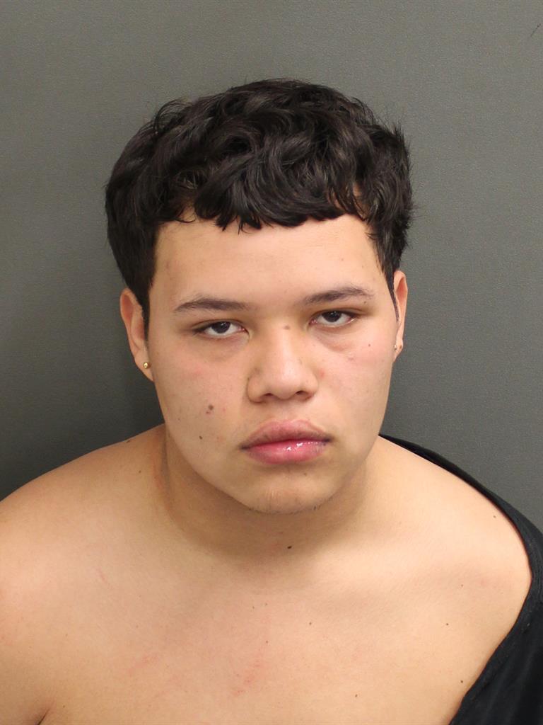  MARIO  JR GARCIA Mugshot / County Arrests / Orange County Arrests