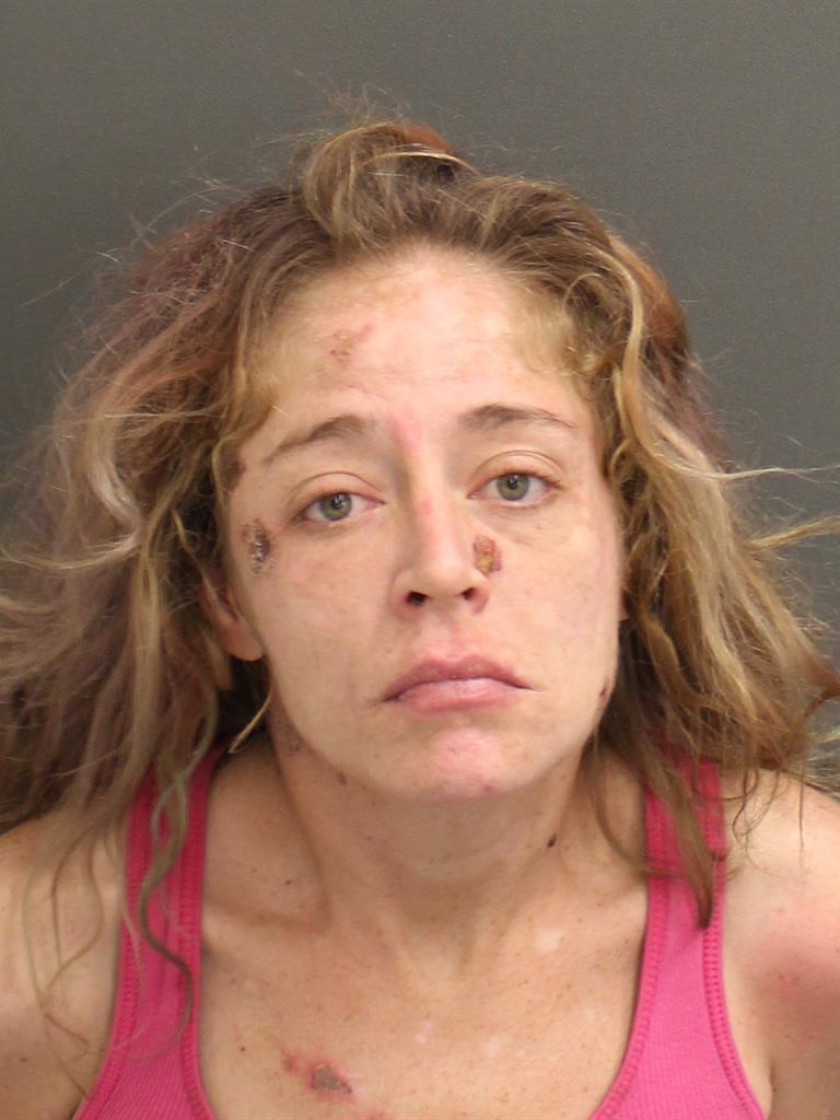  ASHLEY NICOLE INABNITT Mugshot / County Arrests / Orange County Arrests