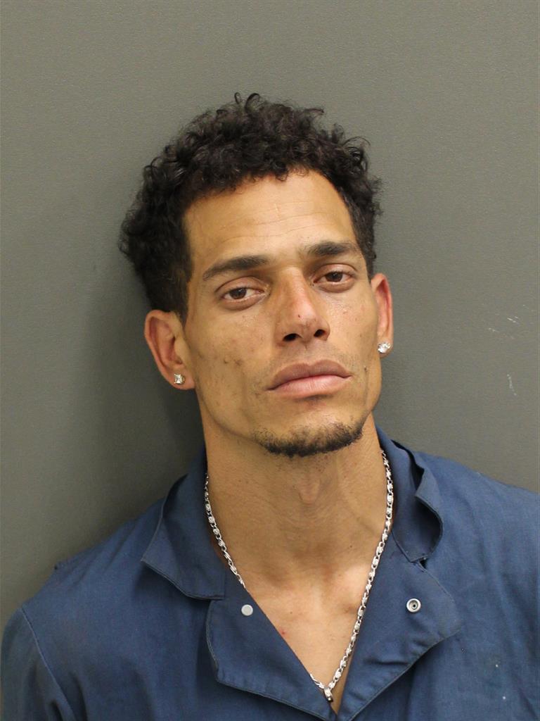  CARLOS EMANUEL LEBRONREYES Mugshot / County Arrests / Orange County Arrests