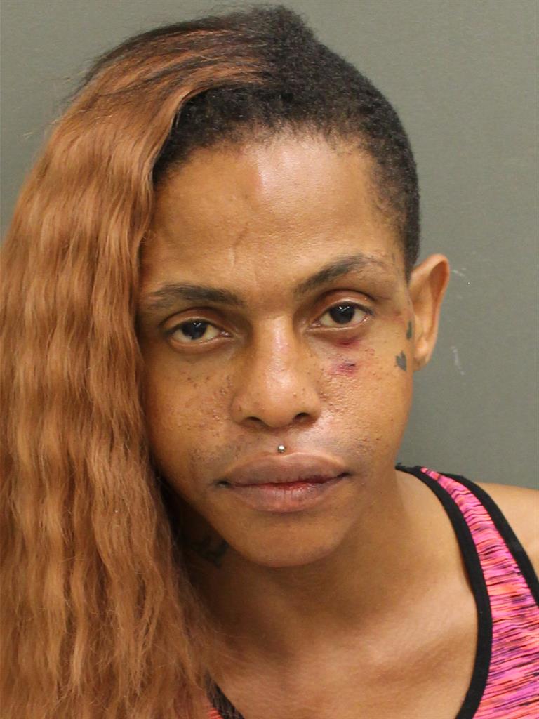  VALENTINE CARR Photo Image