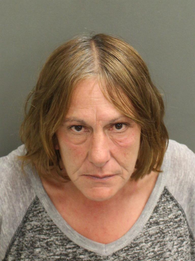  SUSAN PATRICIA ROWE Mugshot / County Arrests / Orange County Arrests