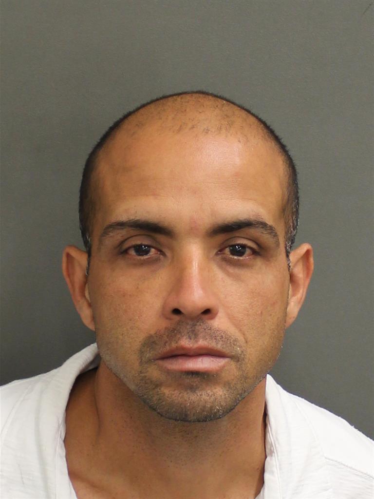  ELPIDIO VALCARCEL Mugshot / County Arrests / Orange County Arrests