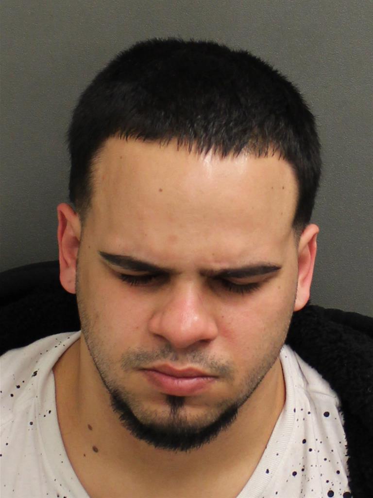  HELBERT  JR CALOBIRRIEL Mugshot / County Arrests / Orange County Arrests