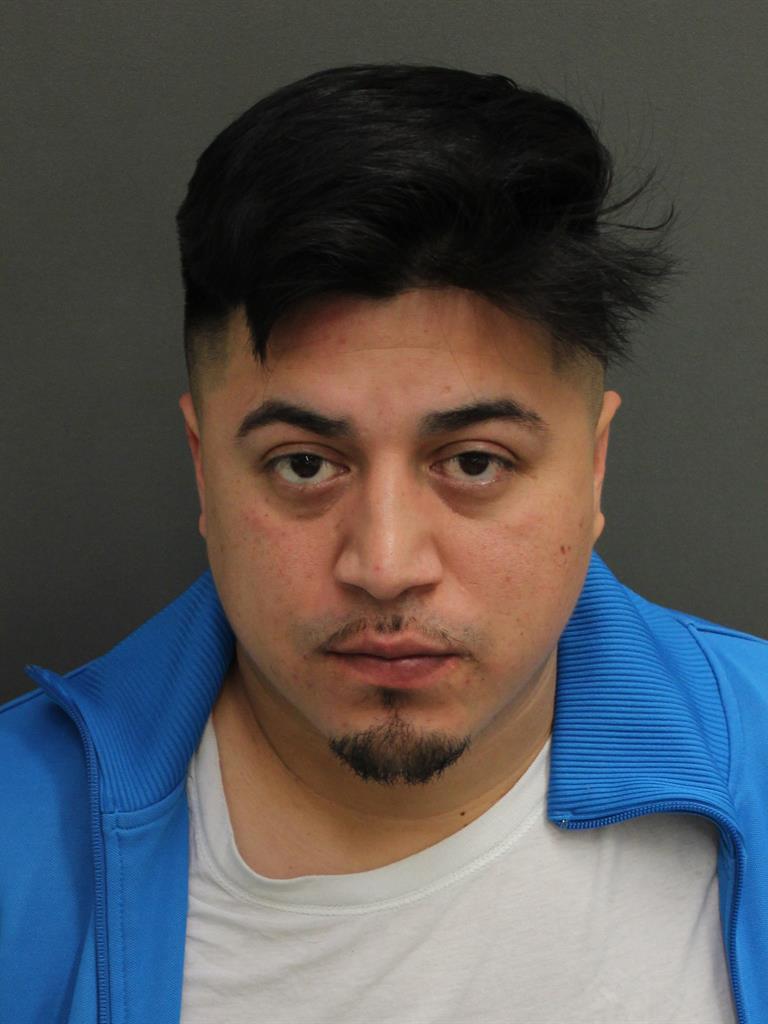  MIKE STANLEY FLORES Mugshot / County Arrests / Orange County Arrests