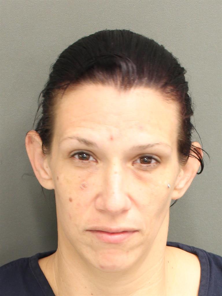  SARAH MARIE NOE Mugshot / County Arrests / Orange County Arrests