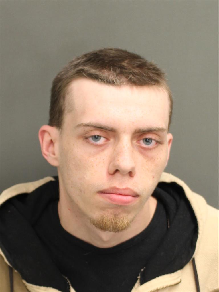  DYLLAN HEDGLIN Mugshot / County Arrests / Orange County Arrests