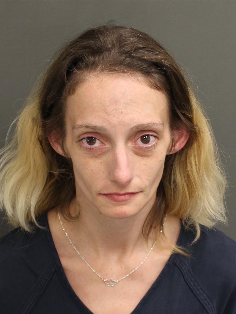  ASHLEY NICOLE JOHNSON Mugshot / County Arrests / Orange County Arrests