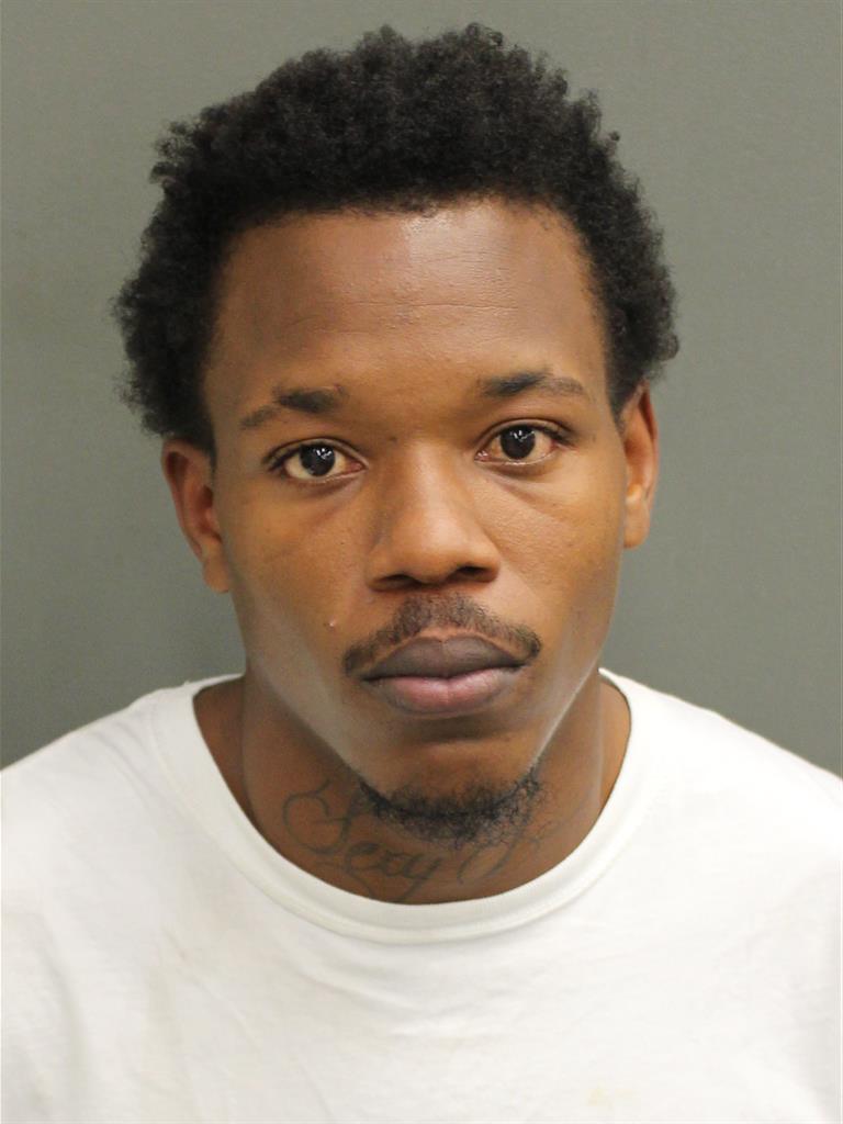  RANDOLPH  III CHAMBERLIN Mugshot / County Arrests / Orange County Arrests