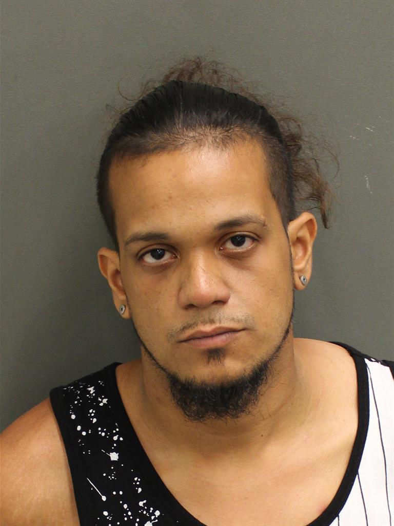  JULIAN JAVIER ORTIZ Mugshot / County Arrests / Orange County Arrests
