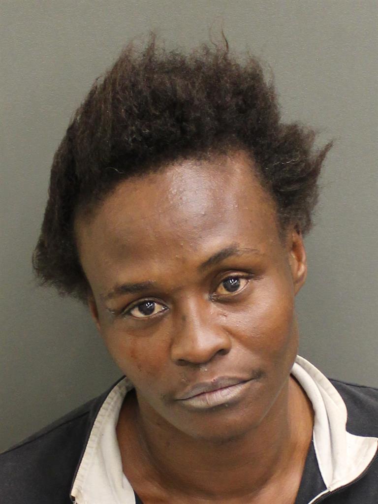  DEBRA MARIE WHITE Mugshot / County Arrests / Orange County Arrests