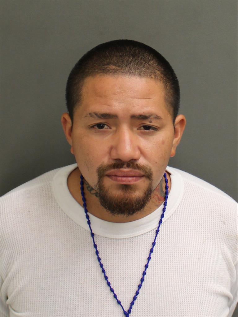  MARIO GARCIAMILIAN Mugshot / County Arrests / Orange County Arrests