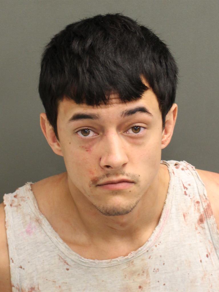  DYLAN MICHAEL GREEN Mugshot / County Arrests / Orange County Arrests