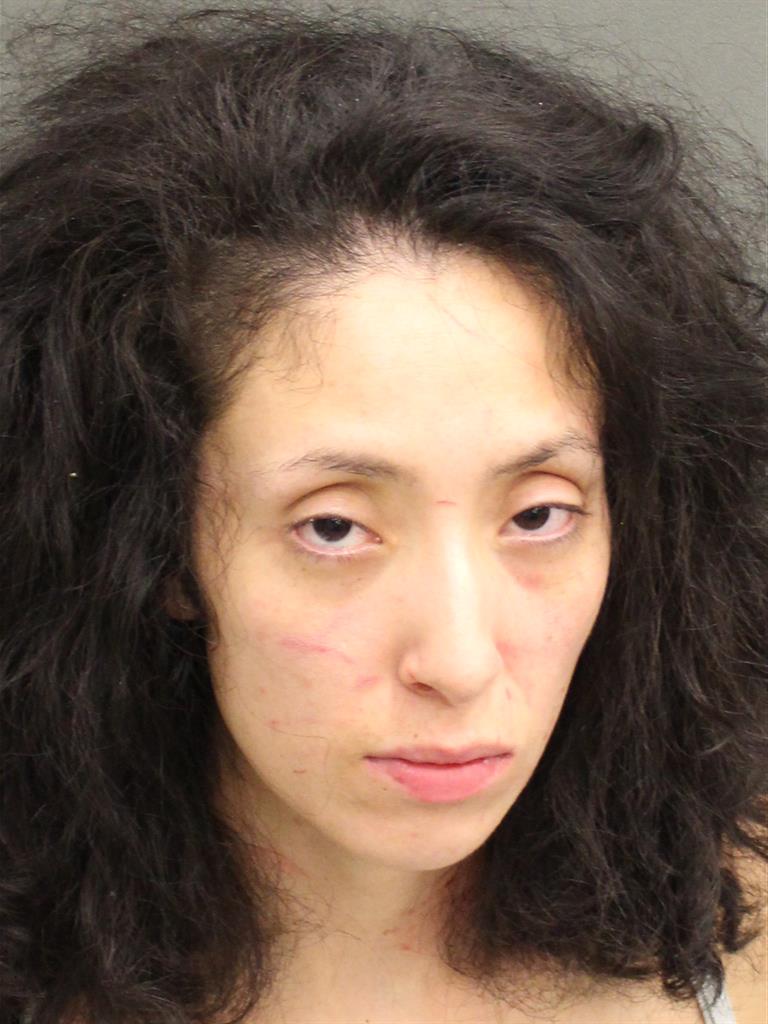  ATHINA CASTRO Mugshot / County Arrests / Orange County Arrests