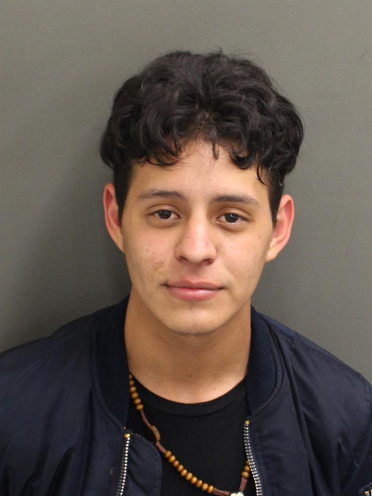  GINO G BIBLONI Mugshot / County Arrests / Orange County Arrests