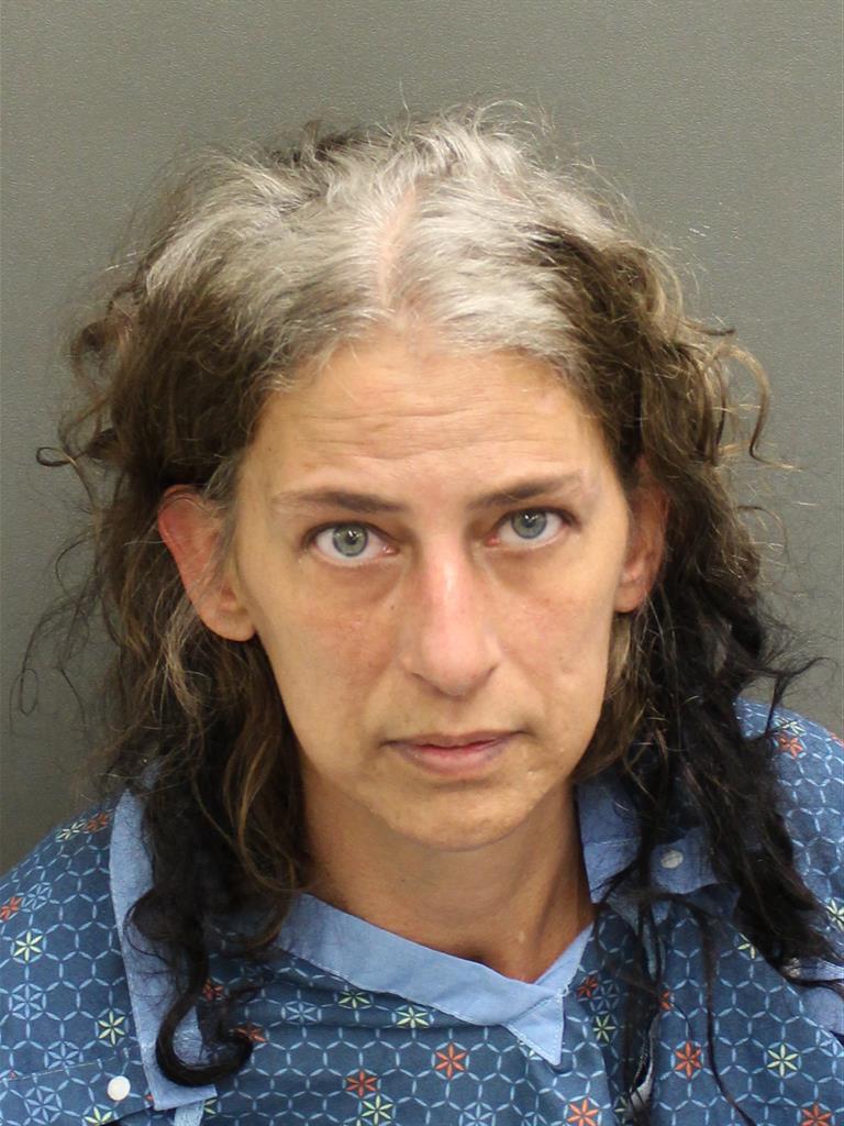  LISA ANNE GOURLAY Mugshot / County Arrests / Orange County Arrests