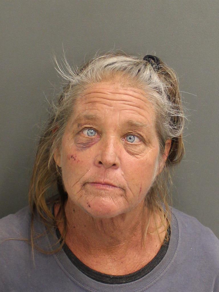  LAURA LEWIS Mugshot / County Arrests / Orange County Arrests