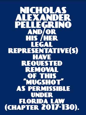  NICHOLAS ALEXANDER PELLEGRINO Mugshot / County Arrests / Orange County Arrests