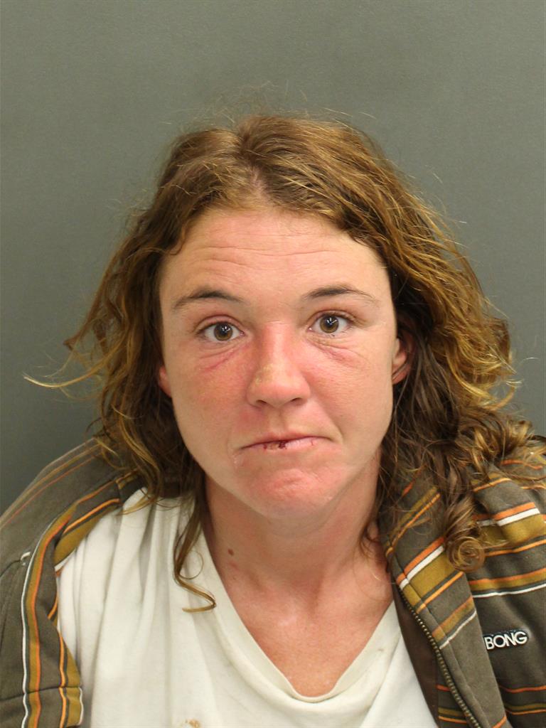  HEATHER ELIZABETH COLES Mugshot / County Arrests / Orange County Arrests