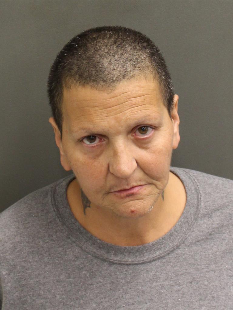  SHELLY LYNN SIMPSON Mugshot / County Arrests / Orange County Arrests