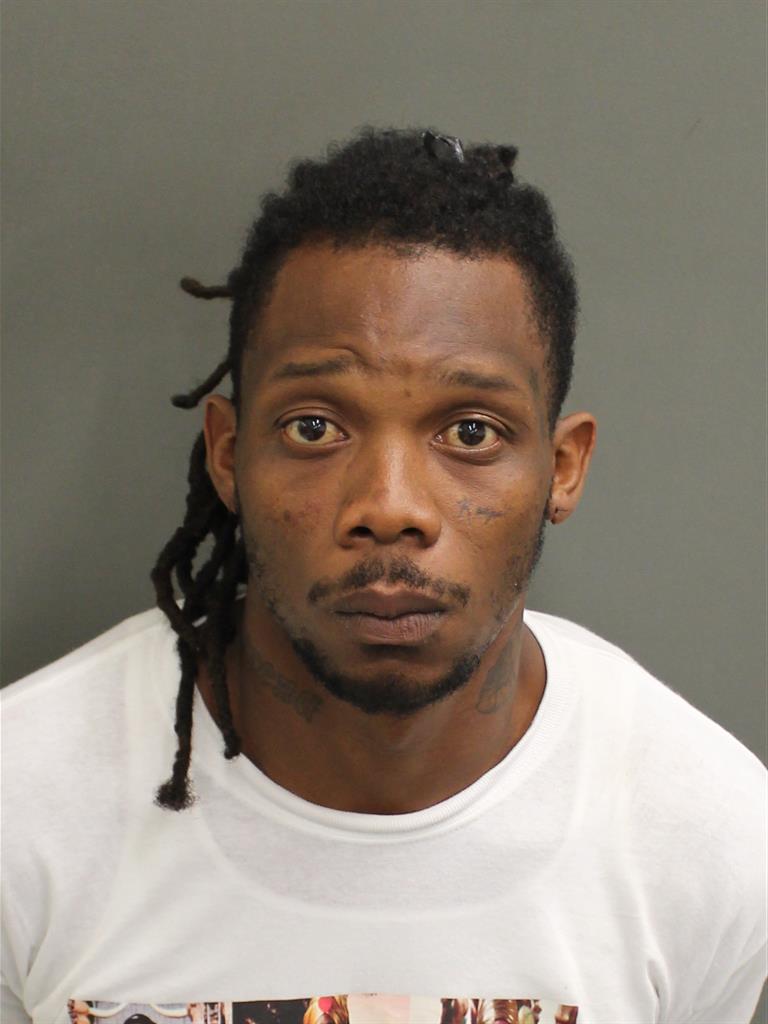  MICHAEL DAVID JR NEIL Mugshot / County Arrests / Orange County Arrests