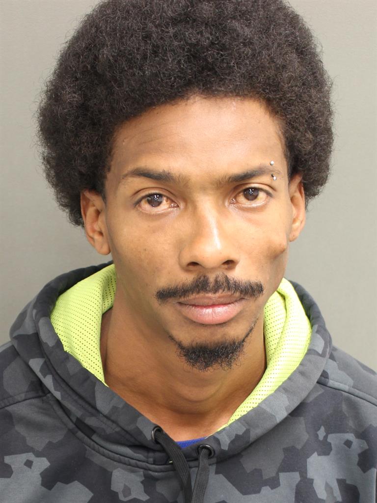  SHAWN A PETERSENPARRILLA Mugshot / County Arrests / Orange County Arrests