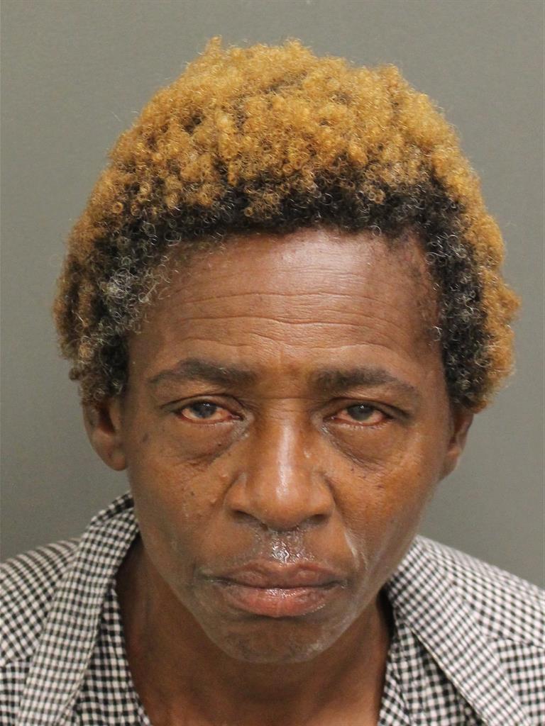  VERNA M ROBINSON Mugshot / County Arrests / Orange County Arrests