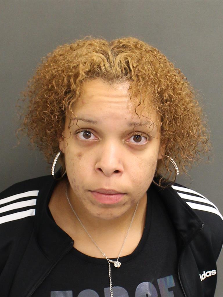  BRITTANY B HULL Mugshot / County Arrests / Orange County Arrests