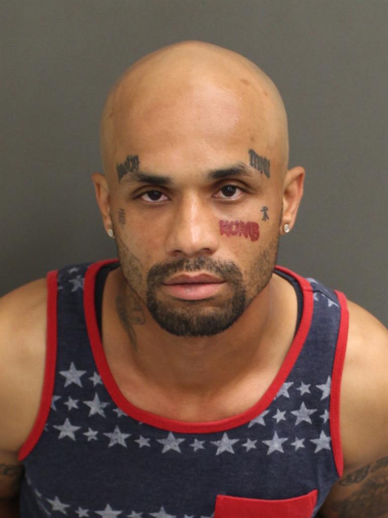  LUIS DANIEL GARCIA Mugshot / County Arrests / Orange County Arrests