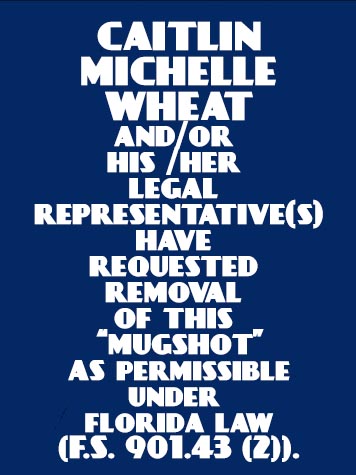  CAITLIN MICHELLE WHEAT Mugshot / County Arrests / Orange County Arrests