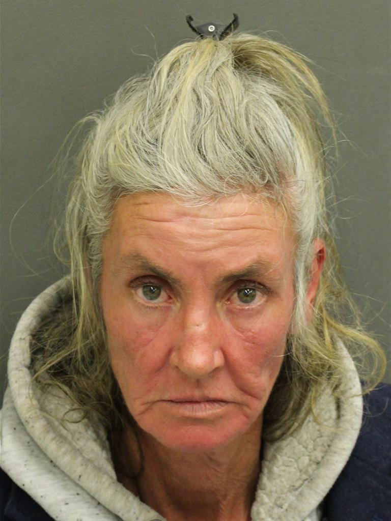  BARBARA ANN JOHNSON Mugshot / County Arrests / Orange County Arrests