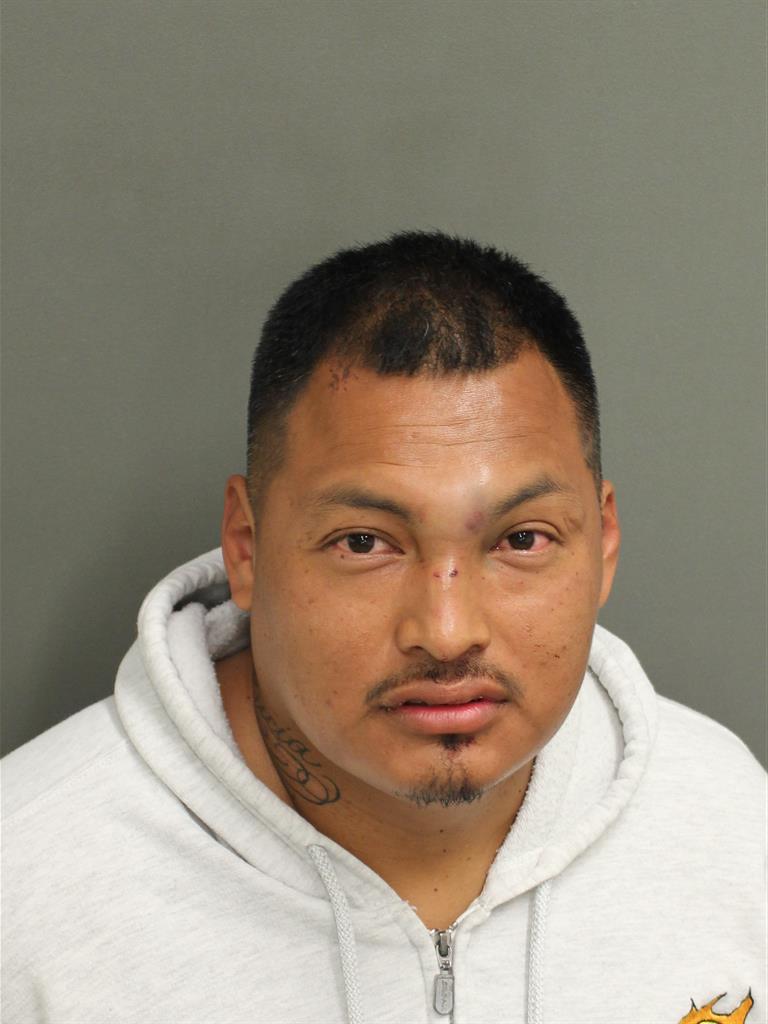  CARLOS ANDRES PALMER Mugshot / County Arrests / Orange County Arrests