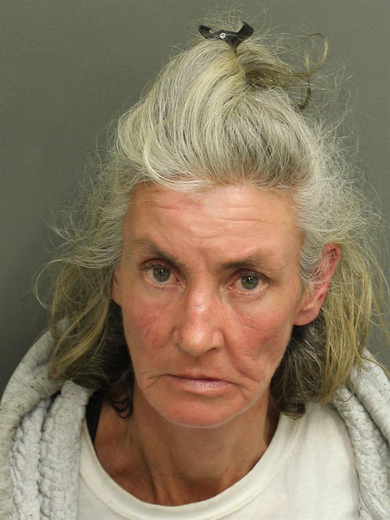 BARBARA ANN JOHNSON Mugshot / County Arrests / Orange County Arrests