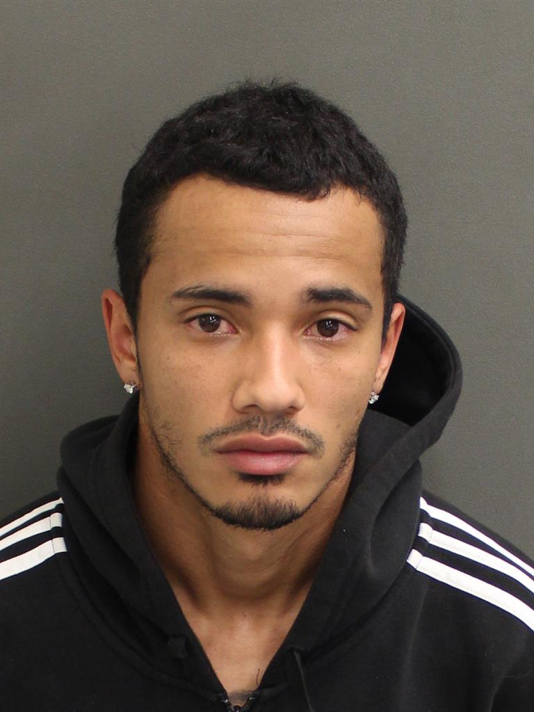  LUIS ANGEL JR ORTIZ Mugshot / County Arrests / Orange County Arrests