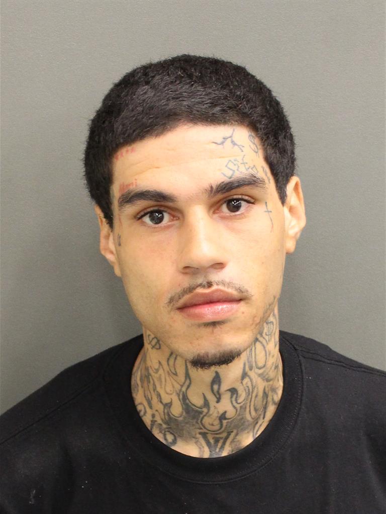  LUIS ANTONIO JR PEREZ Mugshot / County Arrests / Orange County Arrests