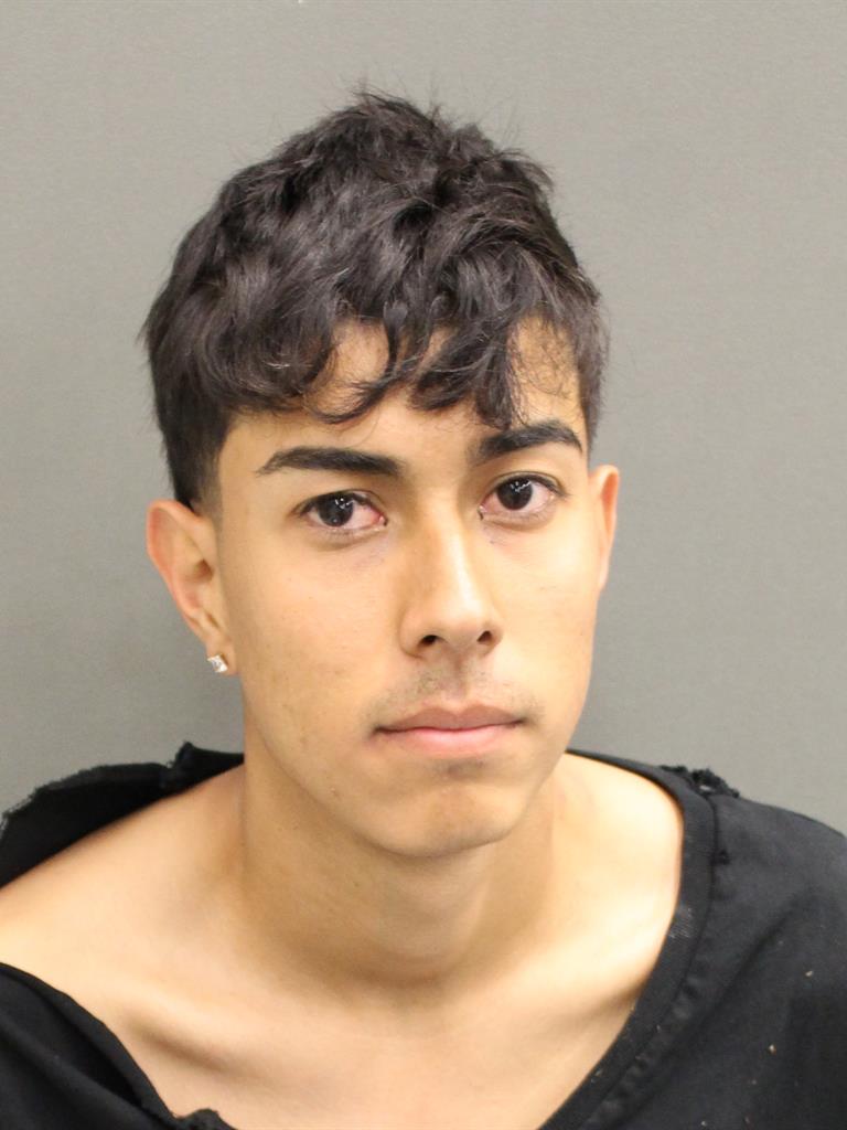  DANILO  JR SANCHEZ Mugshot / County Arrests / Orange County Arrests