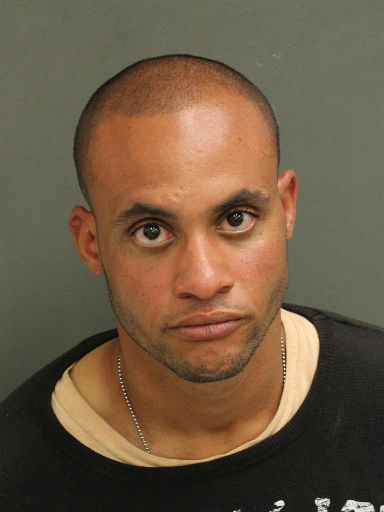  SEBASTIAN LUISMARTIN FERNANDEZ Mugshot / County Arrests / Orange County Arrests