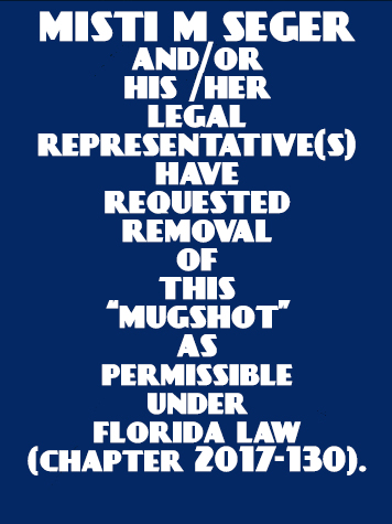  MISTI M STEGER Photo Image