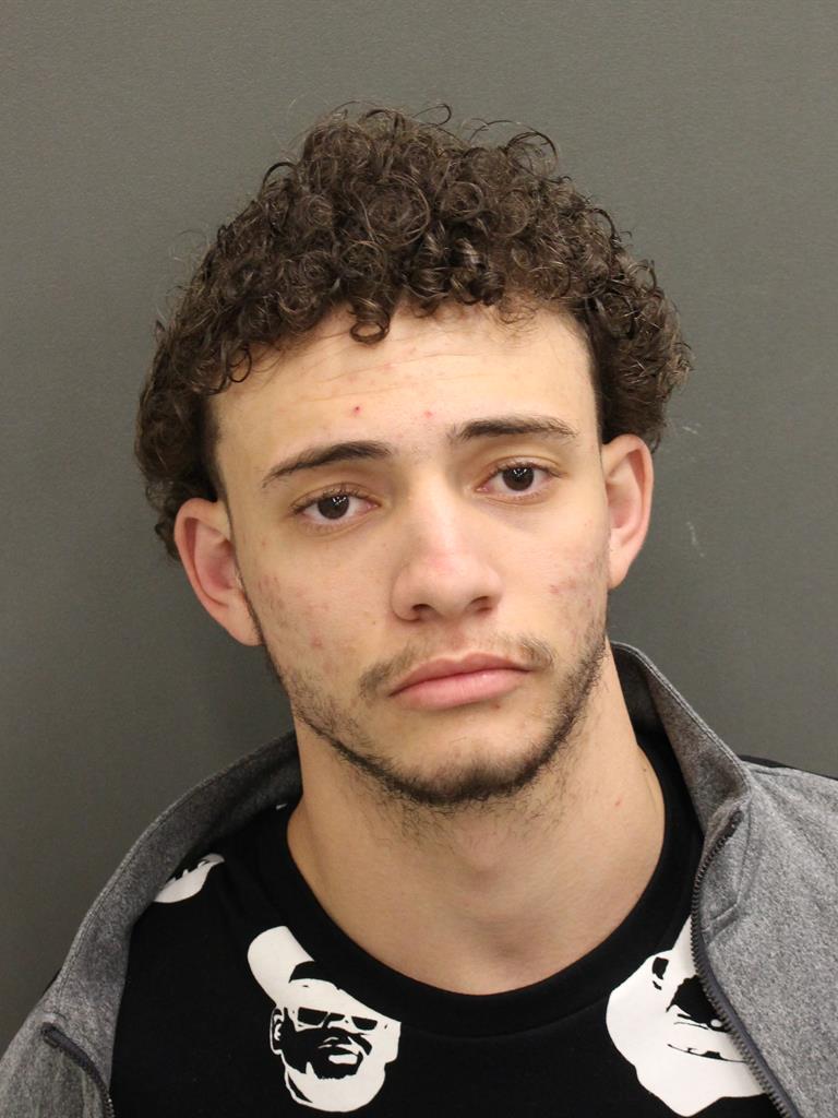  MICHAEL SALVATORE CINO Mugshot / County Arrests / Orange County Arrests