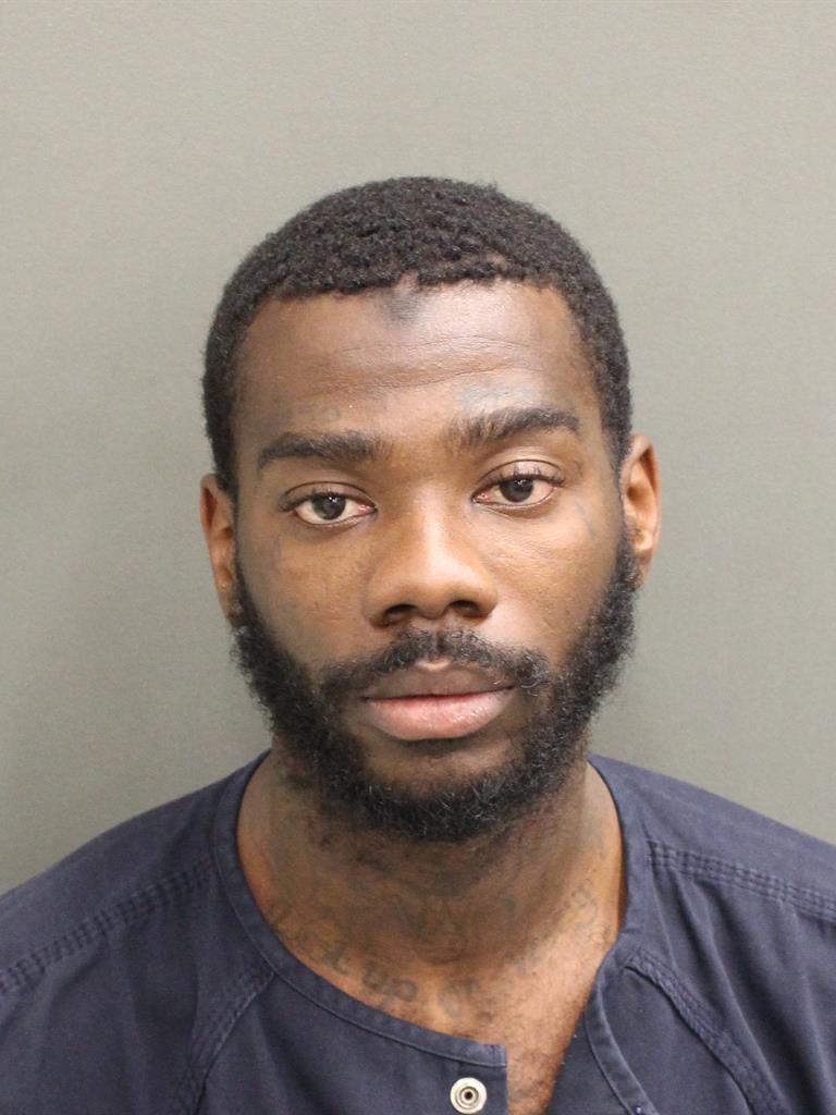  JULIUS DAVID MARTIN Mugshot / County Arrests / Orange County Arrests