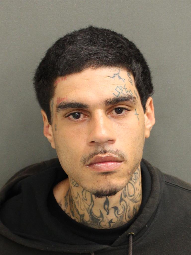  LUIS  JR PEREZ Mugshot / County Arrests / Orange County Arrests