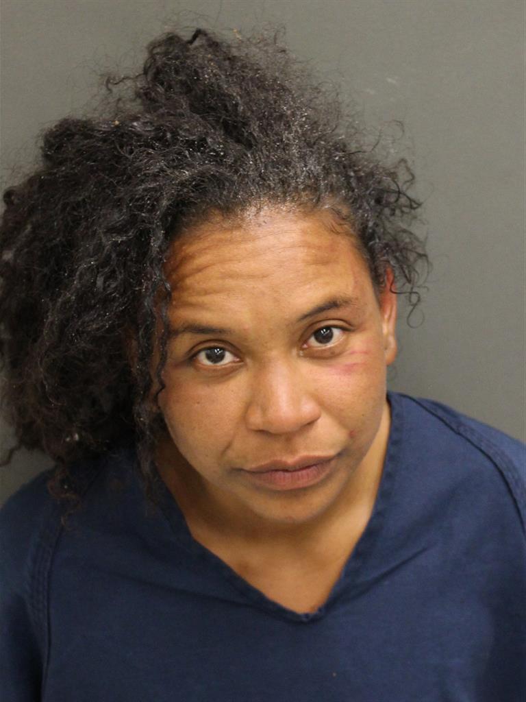  HEATHER T LINDSAY Mugshot / County Arrests / Orange County Arrests