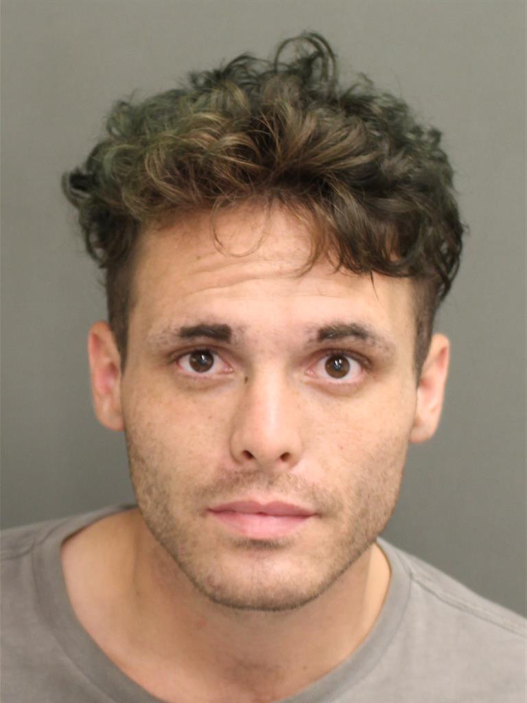  AARYN DALE HOWELL Mugshot / County Arrests / Orange County Arrests