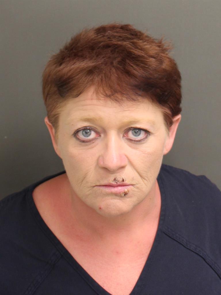  AMANDA LEE STREET Mugshot / County Arrests / Orange County Arrests