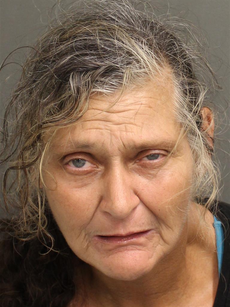  JOAN ELLEN RICEHORNE Mugshot / County Arrests / Orange County Arrests
