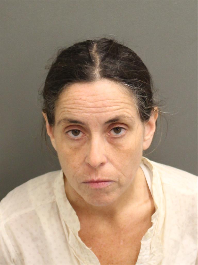  ANNA ELISABETH KINSLOW Mugshot / County Arrests / Orange County Arrests