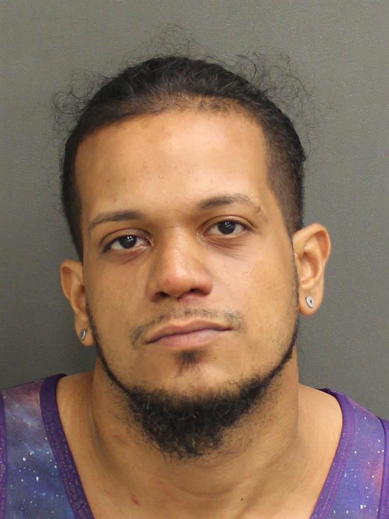  JULIAN ORTIZ Mugshot / County Arrests / Orange County Arrests
