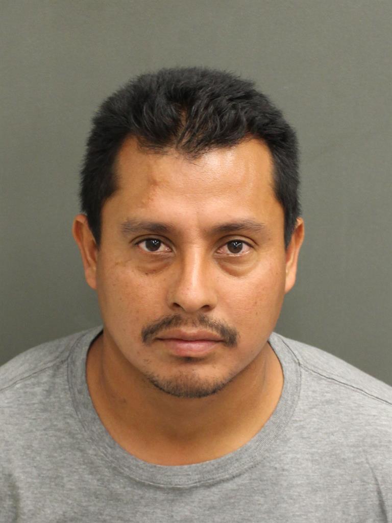  JOSE DOMINGO CASTELLANOSLEMUS Mugshot / County Arrests / Orange County Arrests