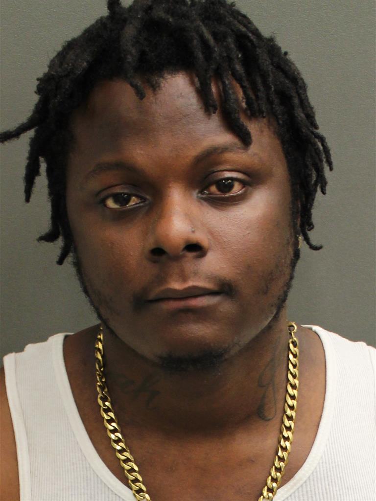  CHRISTOPHER JUSTIN REECE Mugshot / County Arrests / Orange County Arrests